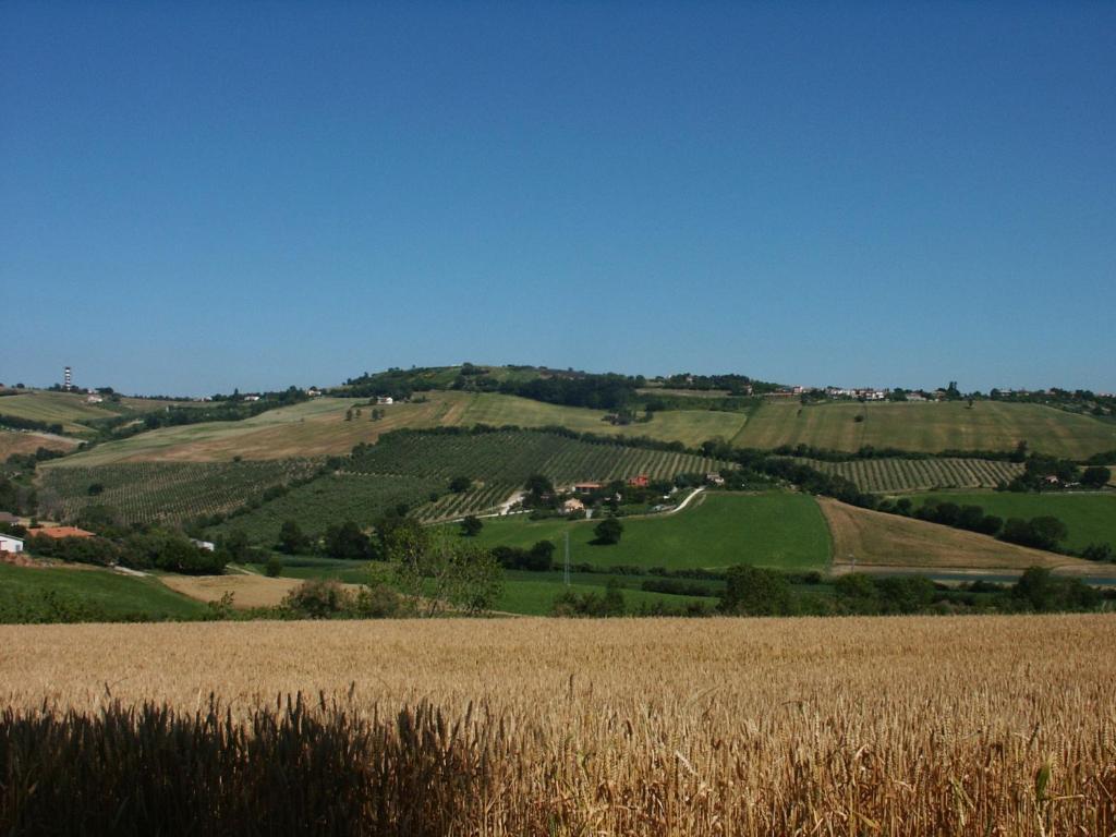 A3Passi Villa Ancona Kültér fotó