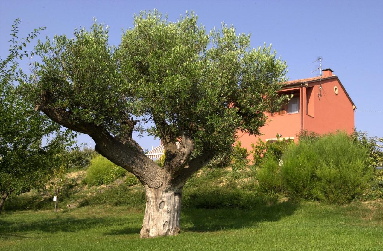 A3Passi Villa Ancona Kültér fotó